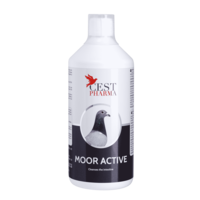 Moor active 1000 ml