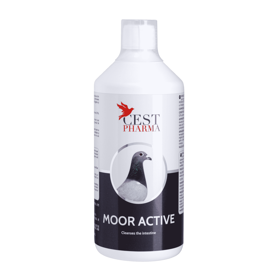 Moor active 1000 ml