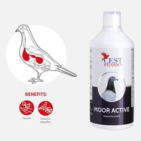 Moor active 1000 ml