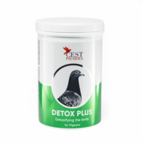 Detox Plus 600 gram