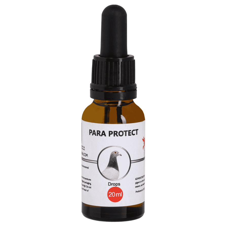 Para Protect 20ML