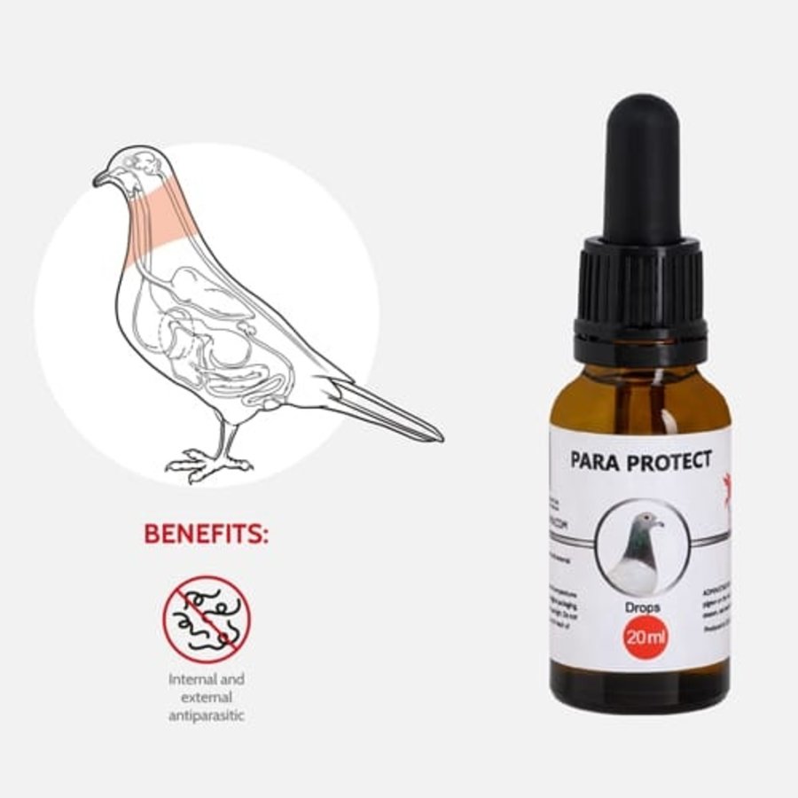 Para Protect 20ML