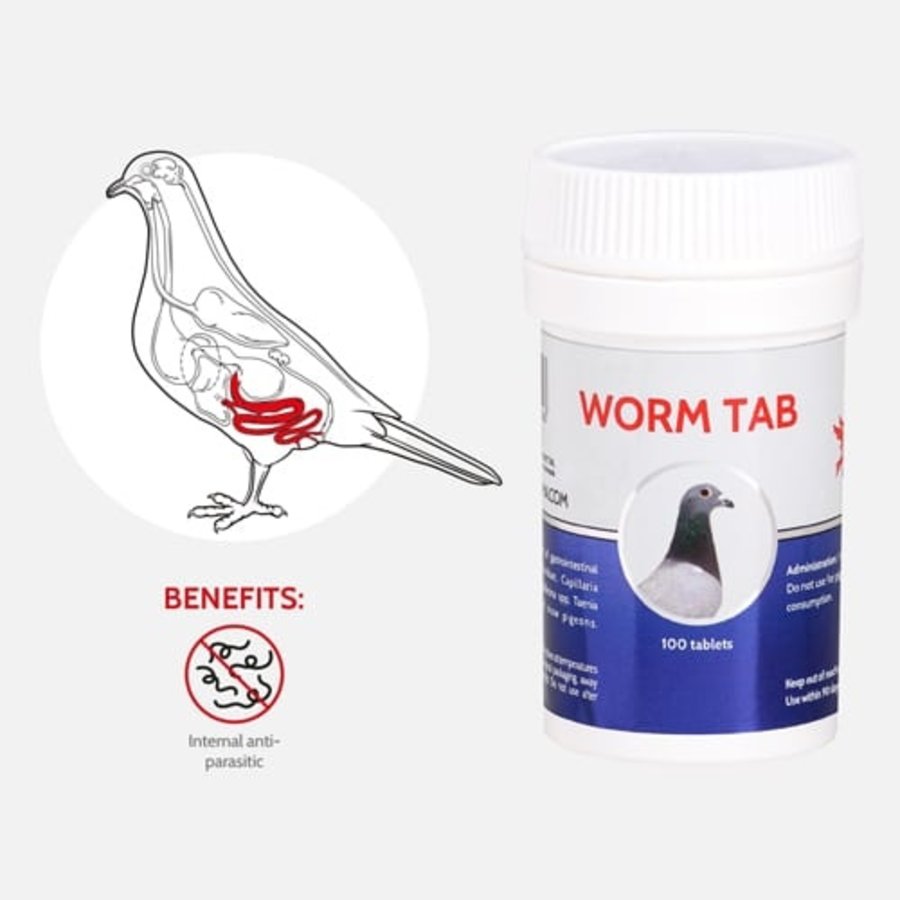 Worm Tab 100 tablets