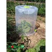 Mini ronde kas 35 cm | voor alleenstaande planten