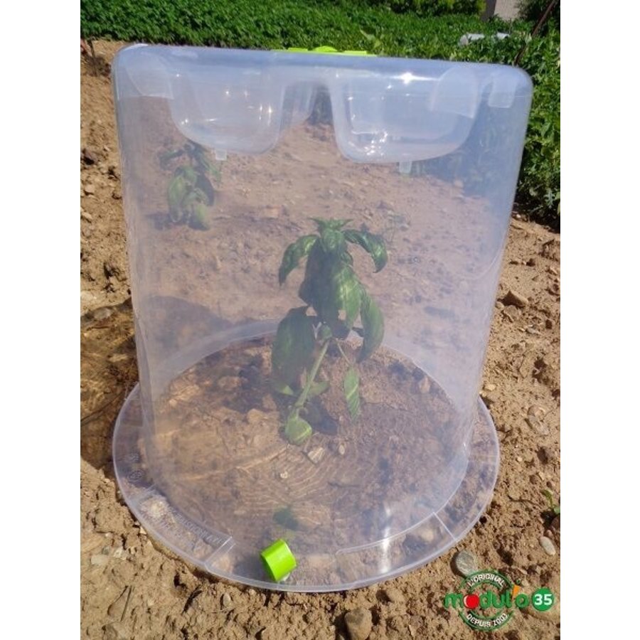 Mini ronde kas 35 cm | voor alleenstaande planten