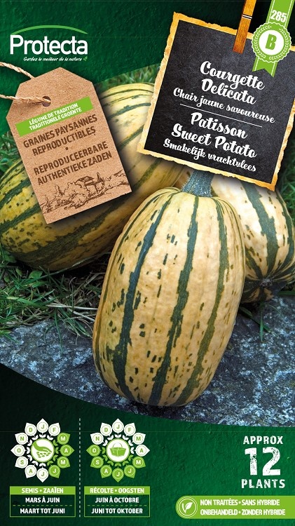 Groente zaden: Patisson Sweet Potato - Junai.nl
