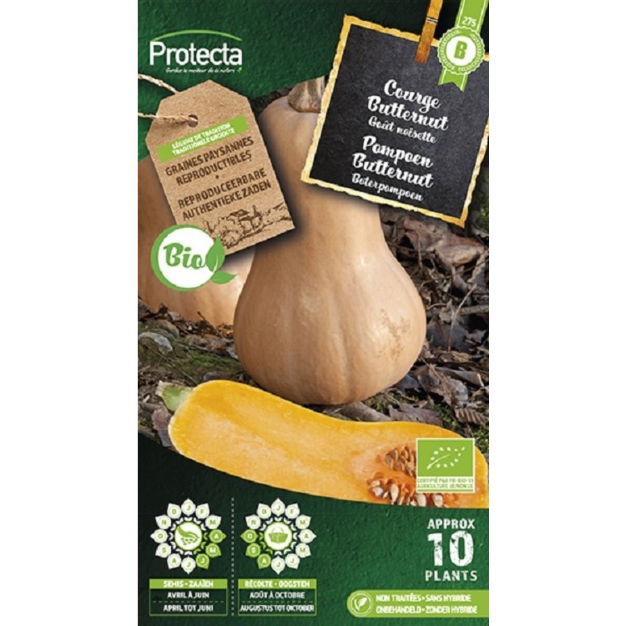 Groente zaden: Pompoen Butternut Biologisch