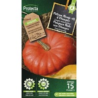 Groente zaden: Pompoen Rode van Etampes