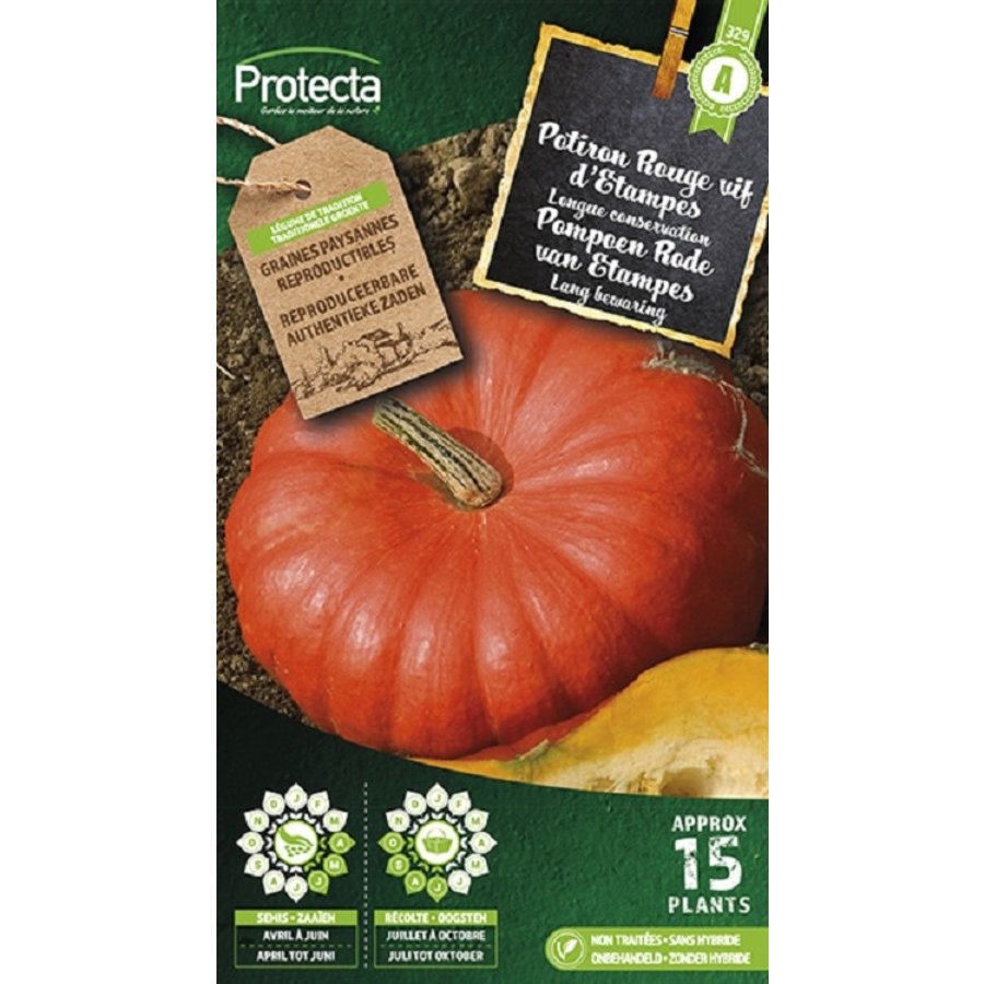 Groente zaden: Pompoen Rode van Etampes
