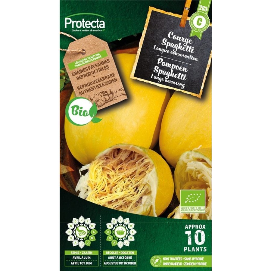 Groente zaden: Pompoen Spaghetti Biologisch