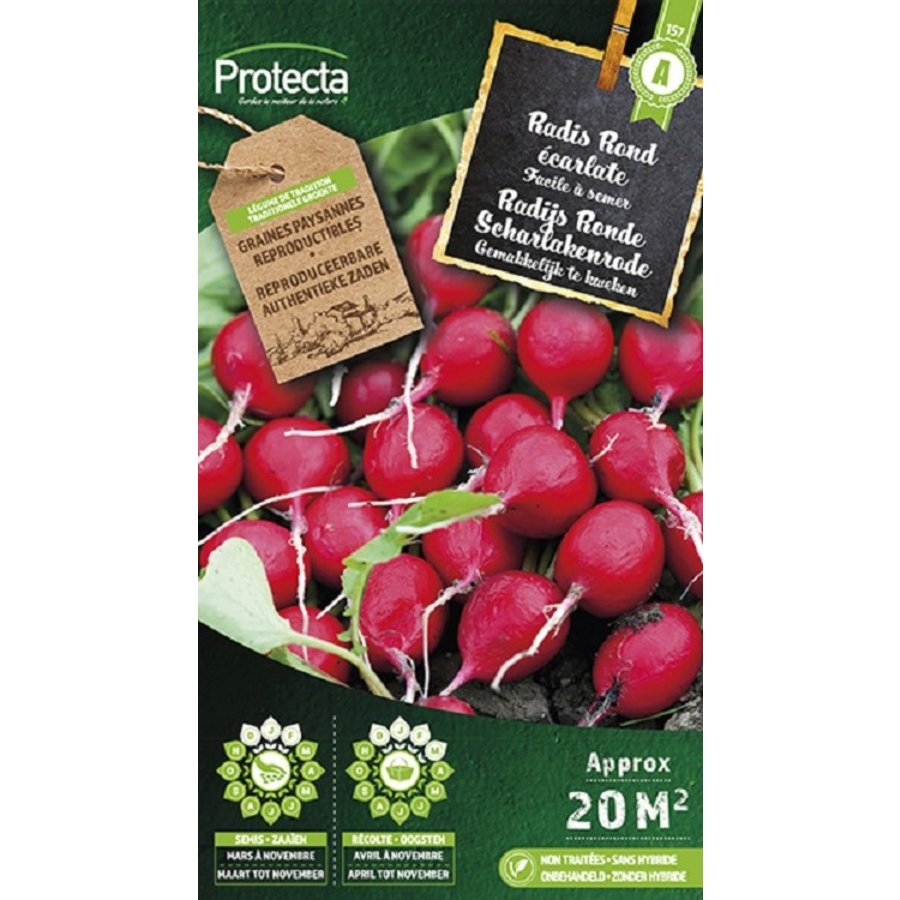 Groente zaden: Radijs Ronde Scharlakenrode