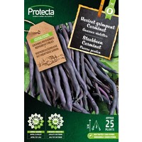 Groente zaden: Staakboon purple Carminat 25 g