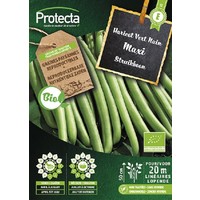 Groente zaden: Struikboon zonder draad Maxi Biologisch