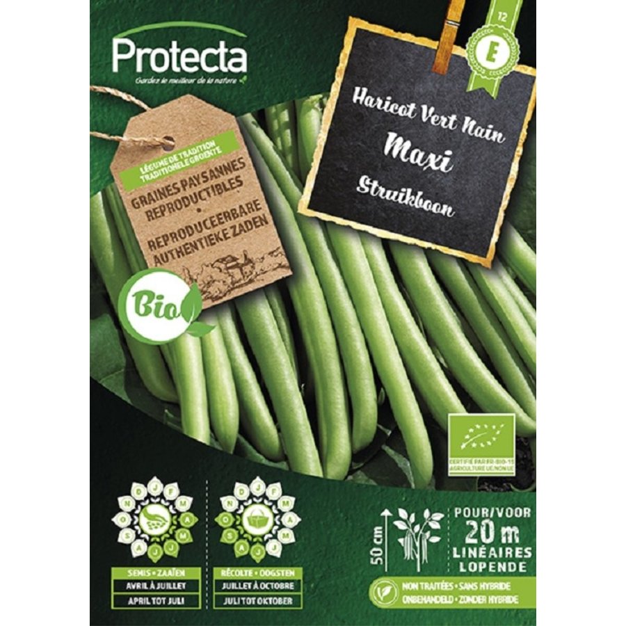 Groente zaden: Struikboon zonder draad Maxi Biologisch