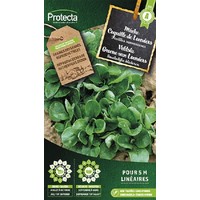 Groente zaden: Veldsla Groene van Louviers