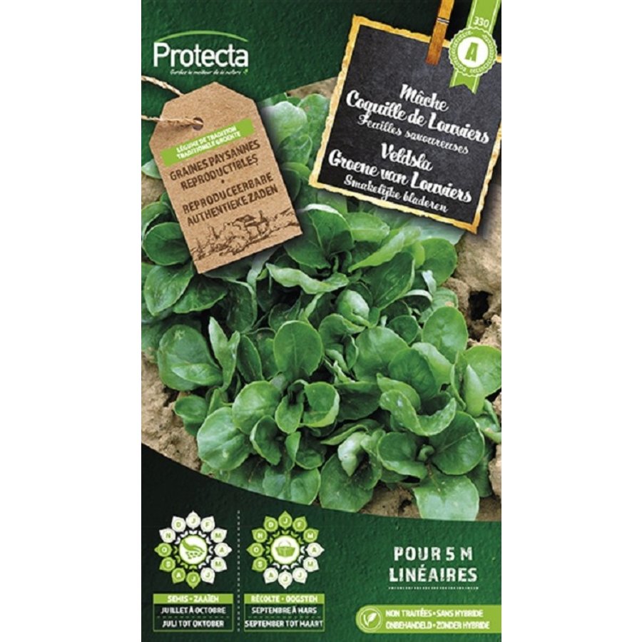 Groente zaden: Veldsla Groene van Louviers