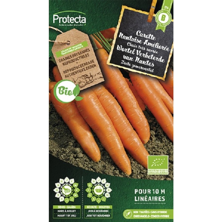 Groente zaden: Wortel Verbeterde van Nantes Biologisch