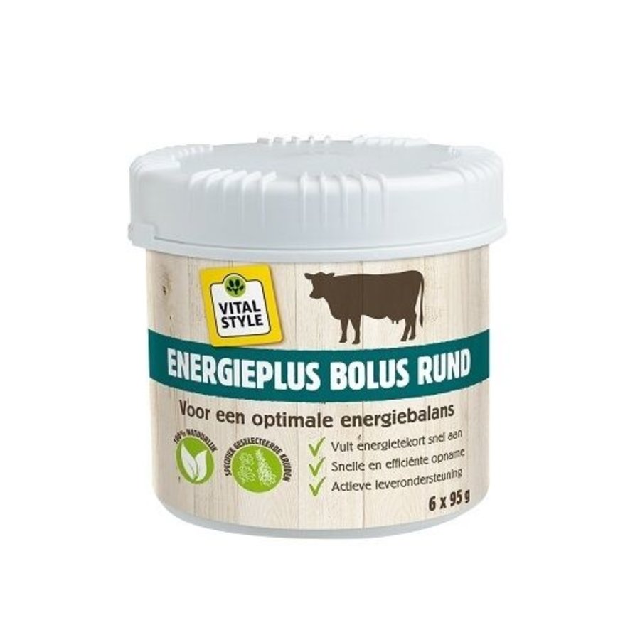 Energieplus Bolus 6 x 95 gram