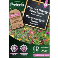 Bloemen zaden: Gebloemde Tapijtmix 25 m²