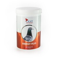 Energy Plus 600 gram