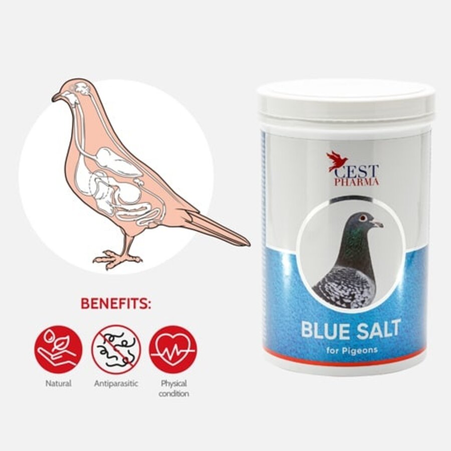 Blue Salt 20g Free Sample