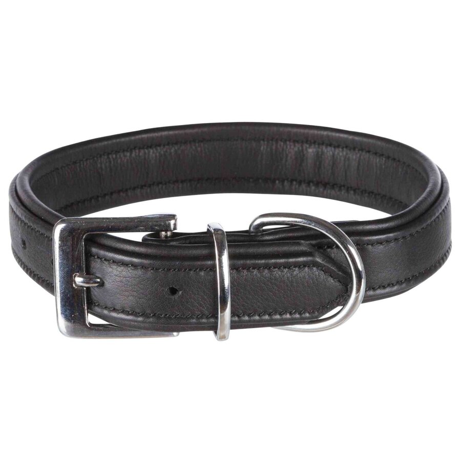 Active Comfort hondenhalsband Zwart