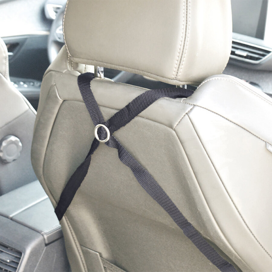 2-in-1 automand isofix zwart