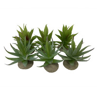 Aloë terrariumplant gemengde kleuren 12x11x11,5cm decoratieve kunstplant