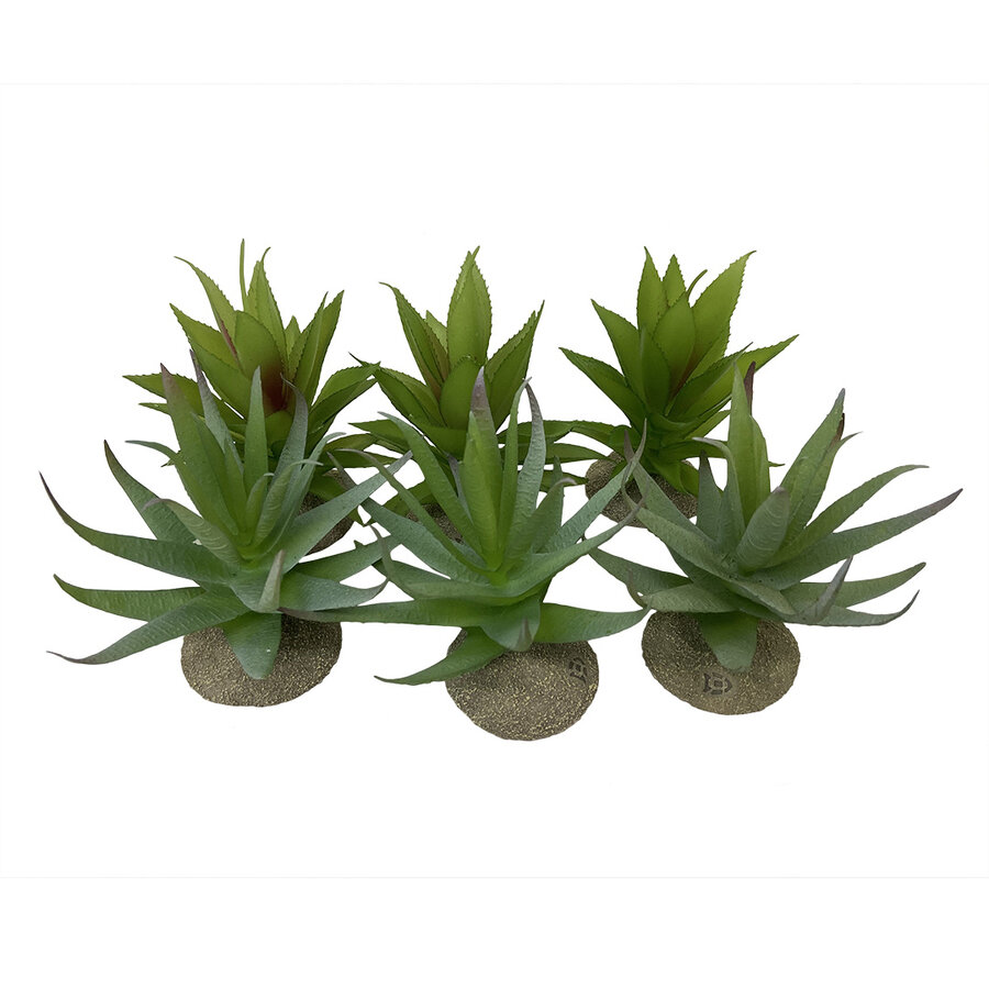 Aloë terrariumplant gemengde kleuren 12x11x11,5cm decoratieve kunstplant