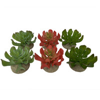 Echeveria terrariumplant kunstplant gemengde kleuren 8,5x8x5,8 en 14x12,5x9,2 cm