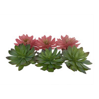 Echeveria terrariumplant kunstplant gemengde kleuren 8,5x8x5,8 en 14x12,5x9,2 cm