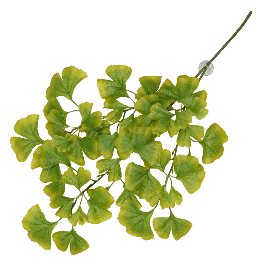 Hangende plant Ginko 63x36x5cm kunststof terrariumdecoratie