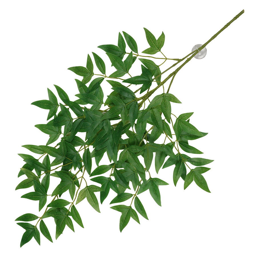Hangende terrariumplant Nandina 65 x 35 x 1,5 cm kunstplant met zuignappen