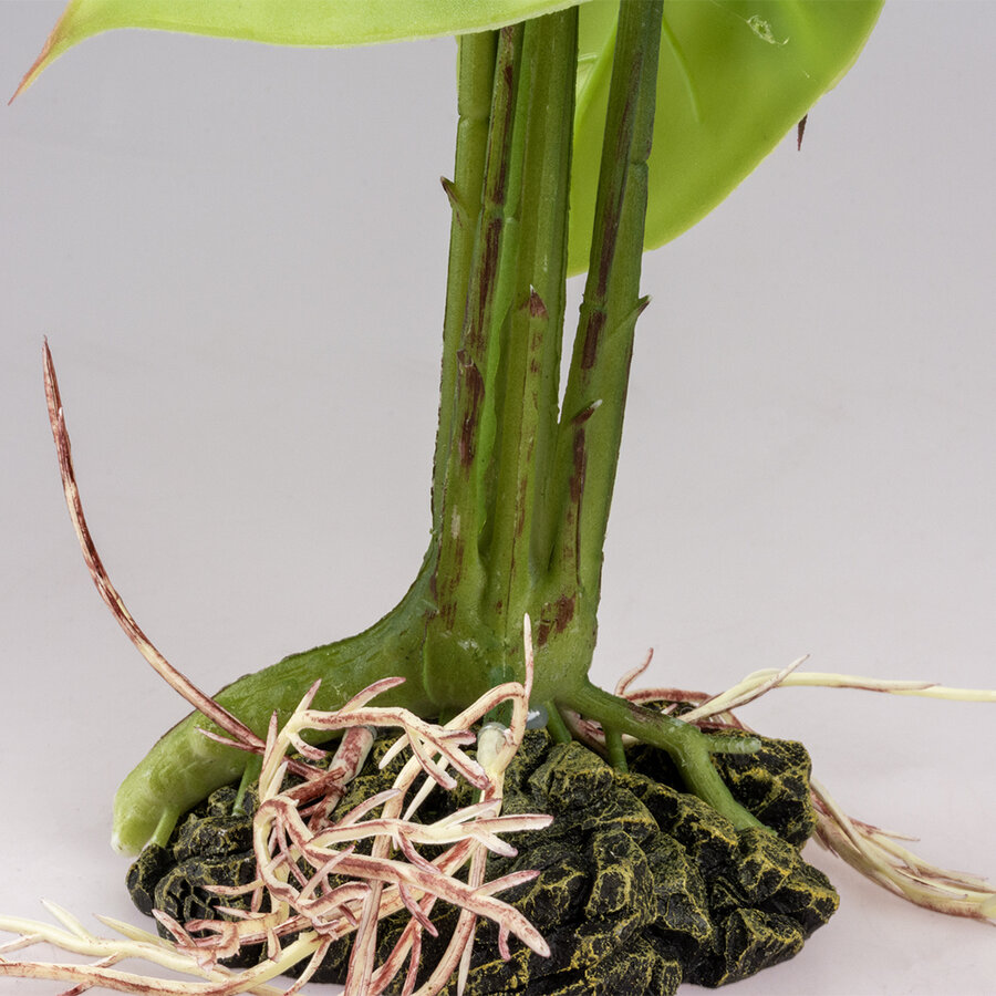 Monstera groen terrarium kunstplant voor reptielen en amfibieën