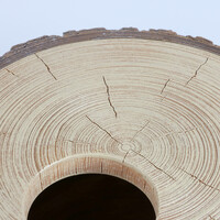 Reptielenschuilplaats Boom | Natuurlijke boomstronk schuilplaats voor reptielen met afneembare deksel