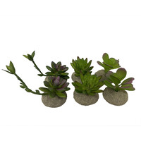 Kunstsucculenten gemengde kleuren terrariumplant 8,0x5,8x10,5 cm