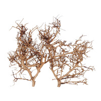 Thailand tak bruin | natuurlijk drijfhout voor aquarium en terrarium