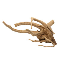 Gepolijst driftwood bruin | natuurlijk drijfhout voor aquarium & terrarium