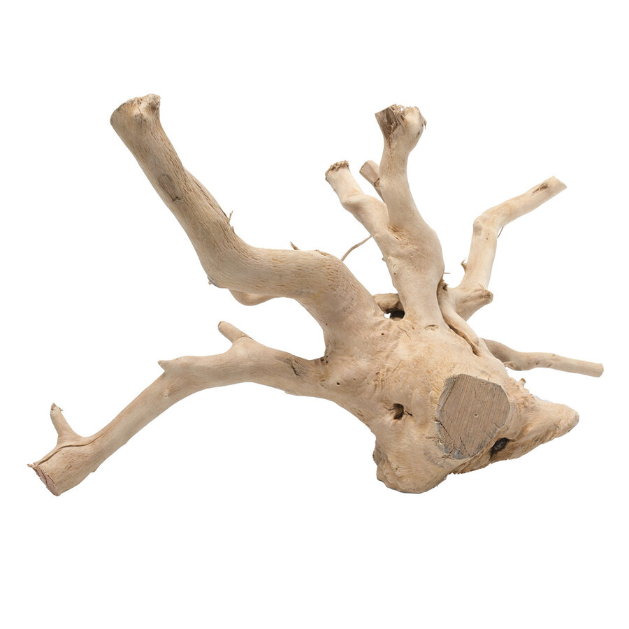 Gepolijst driftwood bruin | natuurlijk drijfhout voor aquarium & terrarium