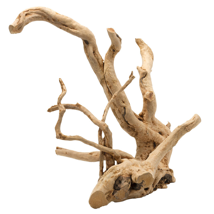 Gepolijst driftwood bruin | natuurlijk drijfhout voor aquarium & terrarium
