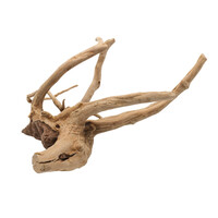 Driftwood Gepolijst Bruin