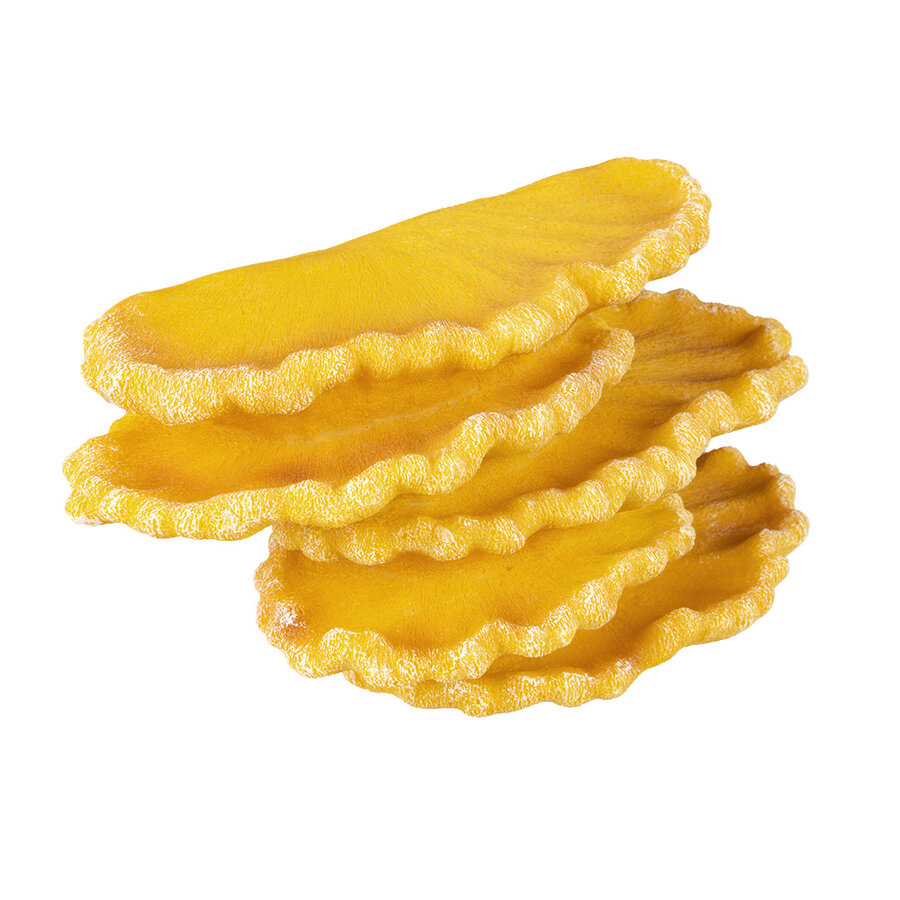 Floating deco zwammen geel 18,5x8,5x10 cm terrarium decoratie