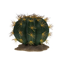 Echinocactus 1 groen terrariumplant 16,5 x 15,5 x 14 cm voor reptielenterrarium