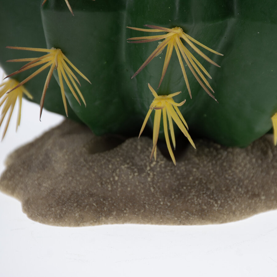 Echinocactus 1 groen terrariumplant 16,5 x 15,5 x 14 cm voor reptielenterrarium