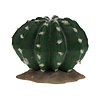 Echinocactus 2 groen