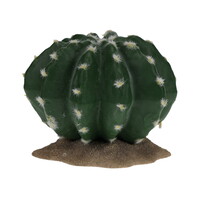 Echinocactus 2 terrariumplant cactus 16,5x15,5x13 cm