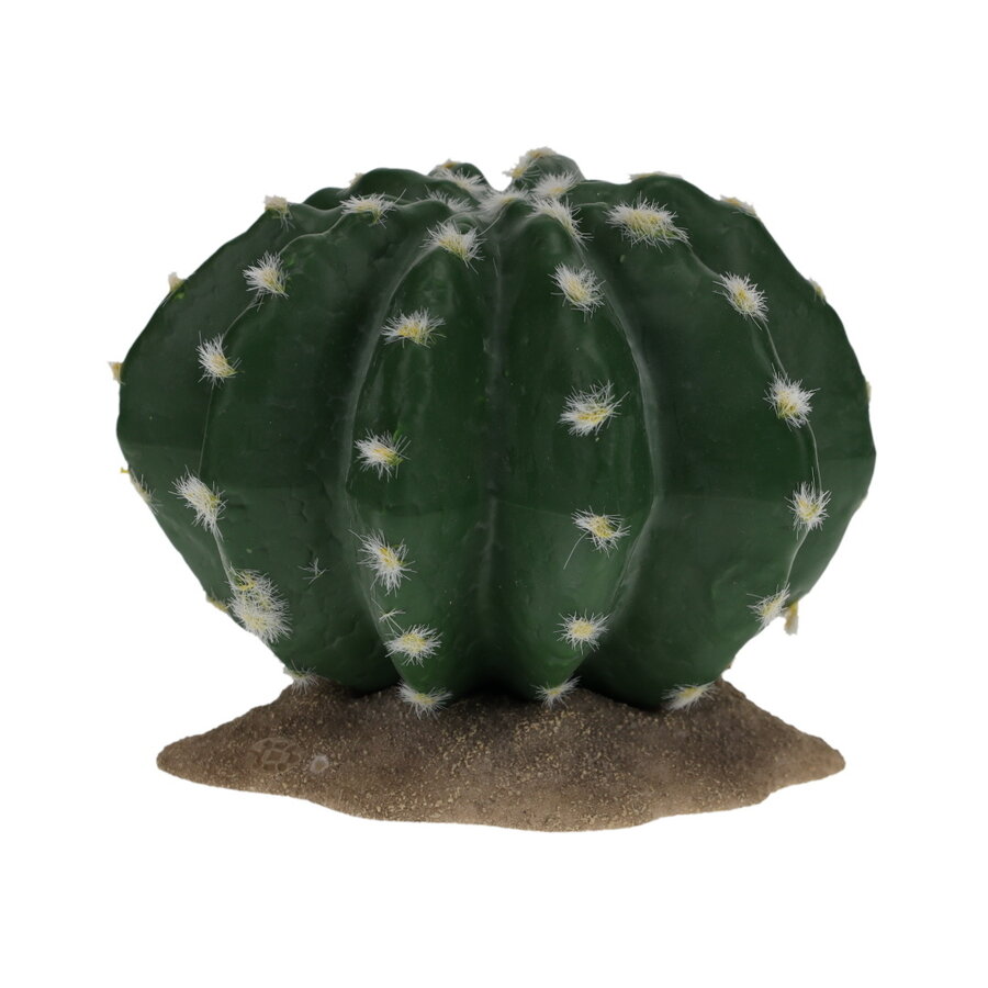 Echinocactus 2 terrariumplant cactus 16,5x15,5x13 cm