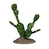 Vijgencactus groen