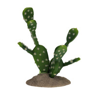 Vijgencactus groen