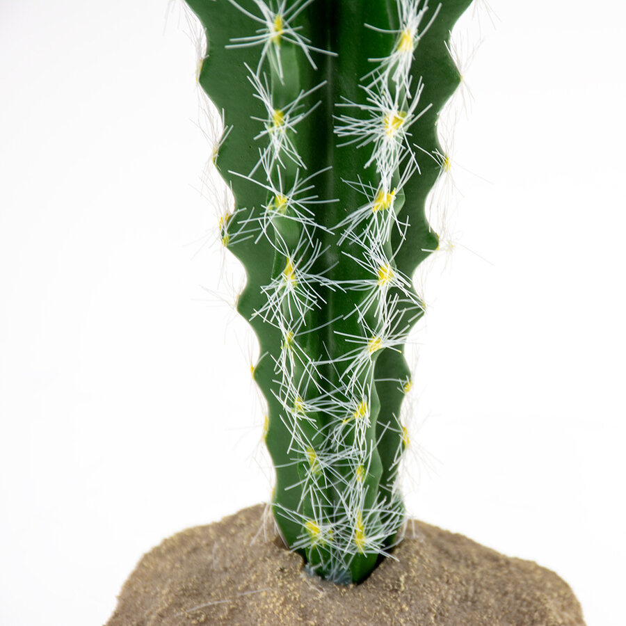 Cactus cilinder 1 groen 10x9x23 cm terrarium decoratie